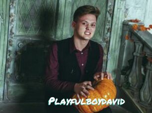 Playfulboydavid