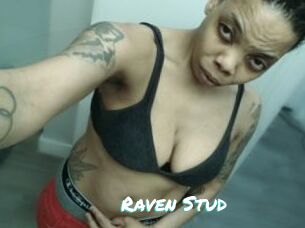 Raven_Stud