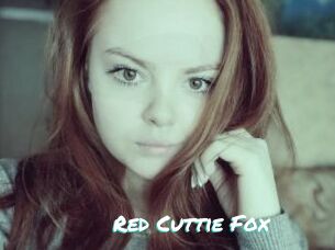 Red_Cuttie_Fox