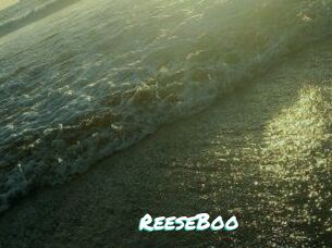 ReeseBoo