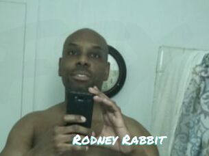 Rodney_Rabbit