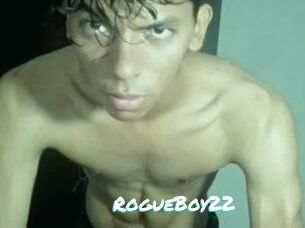 RogueBoy22