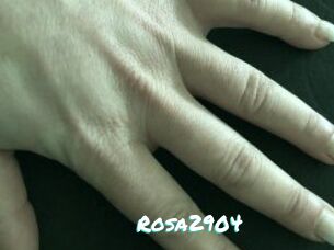 Rosa2904