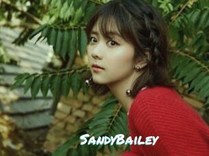 SandyBailey