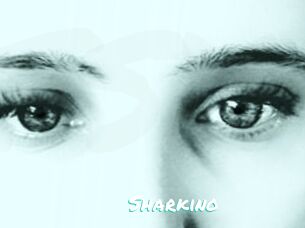 Sharkino