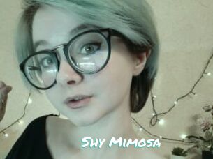 Shy_Mimosa