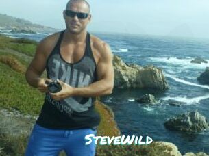 SteveWild