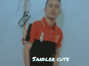 Sandler_cute