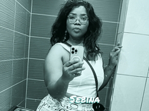 sebina Free Sites X