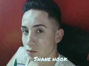 Shane_hook