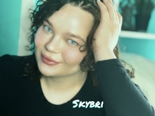 Skybri