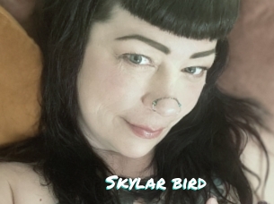 Skylar_bird