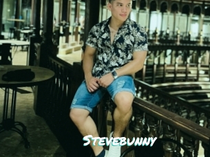 Stevebunny