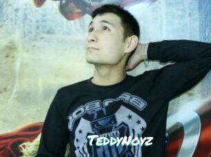 TeddyNoyz