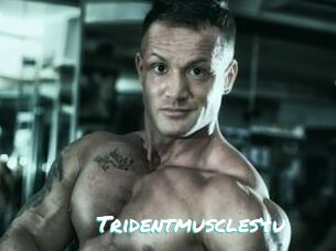 Tridentmuscles4u