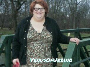 VenusOfUrbino