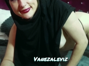 Vanezaleviz