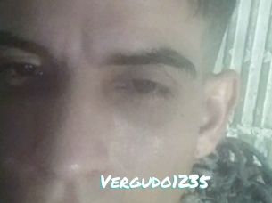 Vergudo1235
