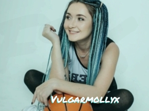 Vulgarmollyx