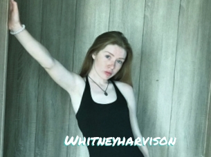 Whitneyharvison