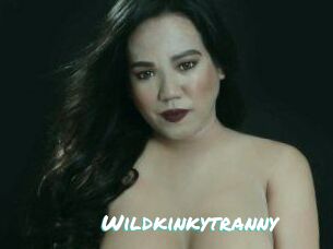 Wildkinkytranny