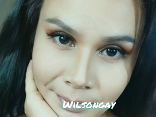 Wilsongay