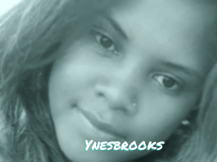 Ynesbrooks