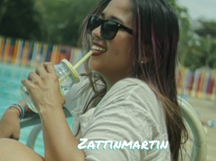 Zattinmartin